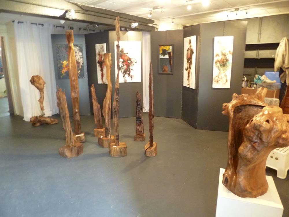 P1000784 (1)